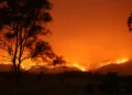 Wildfires in Europe: sea evacuation in Greece, the major cities are on highest alert in Italy
