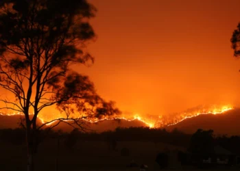 Wildfires in Europe: sea evacuation in Greece, the major cities are on highest alert in Italy