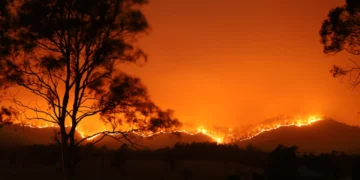 Wildfires in Europe: sea evacuation in Greece, the major cities are on highest alert in Italy