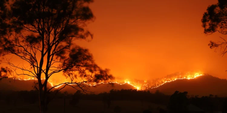 Wildfires in Europe: sea evacuation in Greece, the major cities are on highest alert in Italy