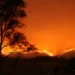Wildfires in Europe: sea evacuation in Greece, the major cities are on highest alert in Italy