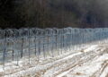 Ceuta Crisis: von der Leyen Calls for Stronger Border Controls, Physical Barriers