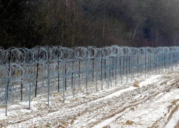 Ceuta Crisis: von der Leyen Calls for Stronger Border Controls, Physical Barriers
