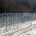 Ceuta Crisis: von der Leyen Calls for Stronger Border Controls, Physical Barriers