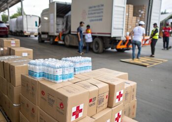 EU leaders joint statement on World Humanitarian Day