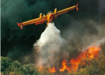 EU mobilises support as wildfires spread across Europe