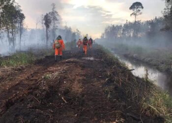 Largest blaze ever in Belgium: villagers evacuate