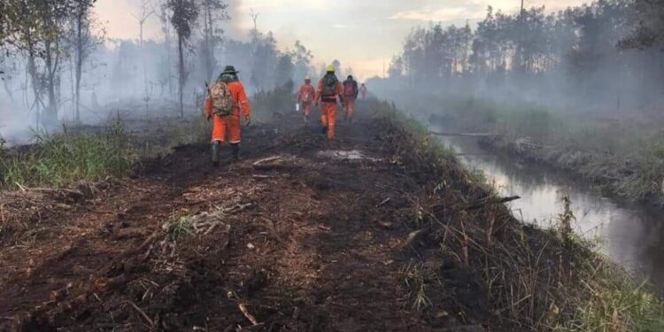 Largest blaze ever in Belgium: villagers evacuate