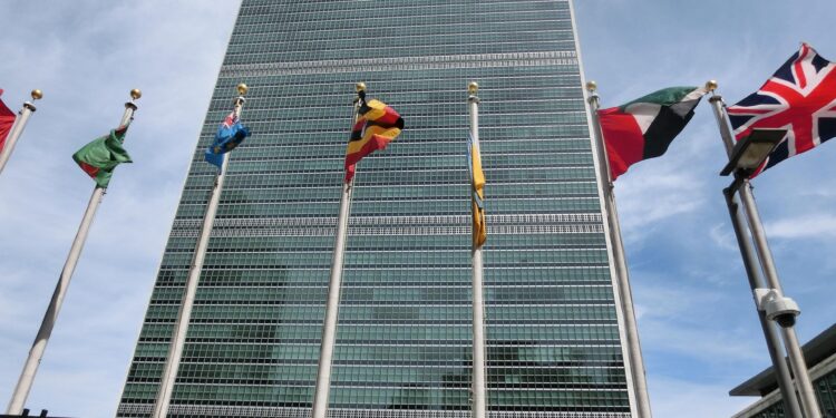 The Race for UN Secretary-General Is Underway