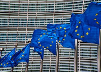 European Union explained: “Pasarelle clauses”