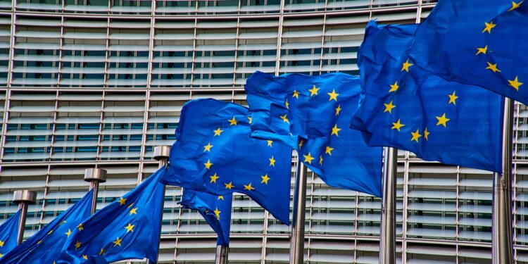 European Union explained: “Pasarelle clauses”