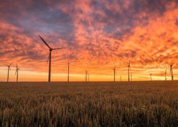Von der Leyen promises an ever greener Europe in New York, however what she says is not in line with the EU member states