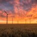 Von der Leyen promises an ever greener Europe in New York, however what she says is not in line with the EU member states