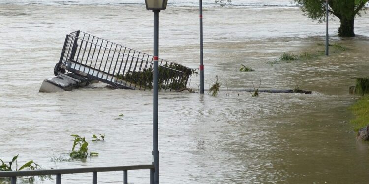 Parliament backs storm recovery aid for Portugal, Spain, Italy and Malta