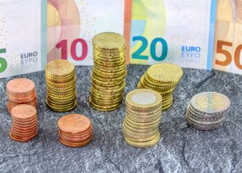European Court of Auditors: EU governments watered down EU targets